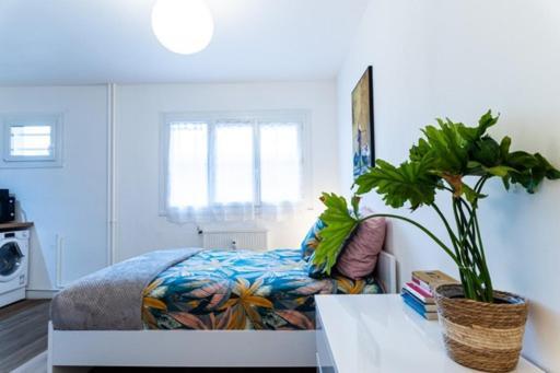 布雷斯地区布尔格Le Coquet - Balcon - Proche Gare - Parking公寓 外观 照片